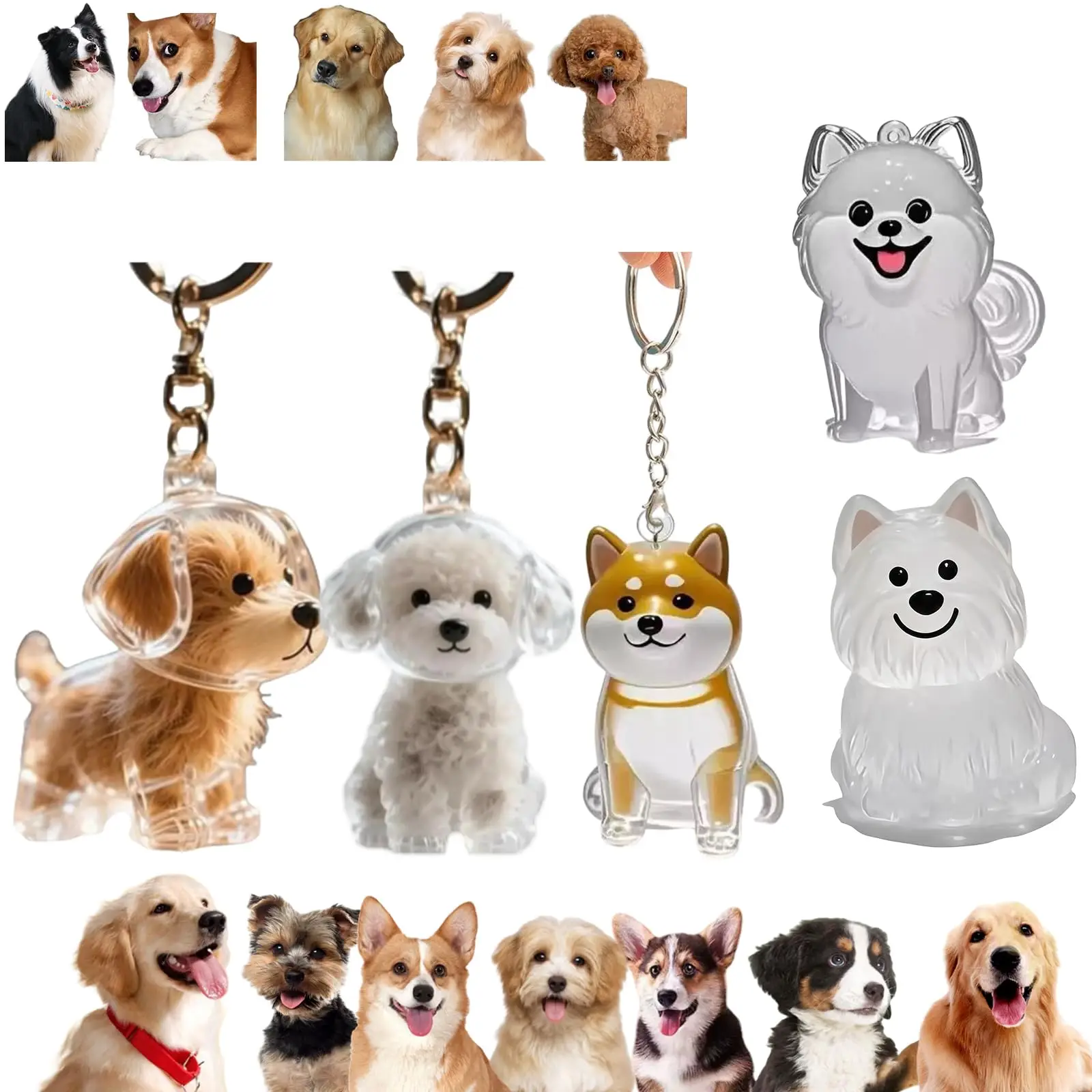 Pet Supplies Outlet - Ciondolo Trasparente per Commemorazione Animali Domestici,