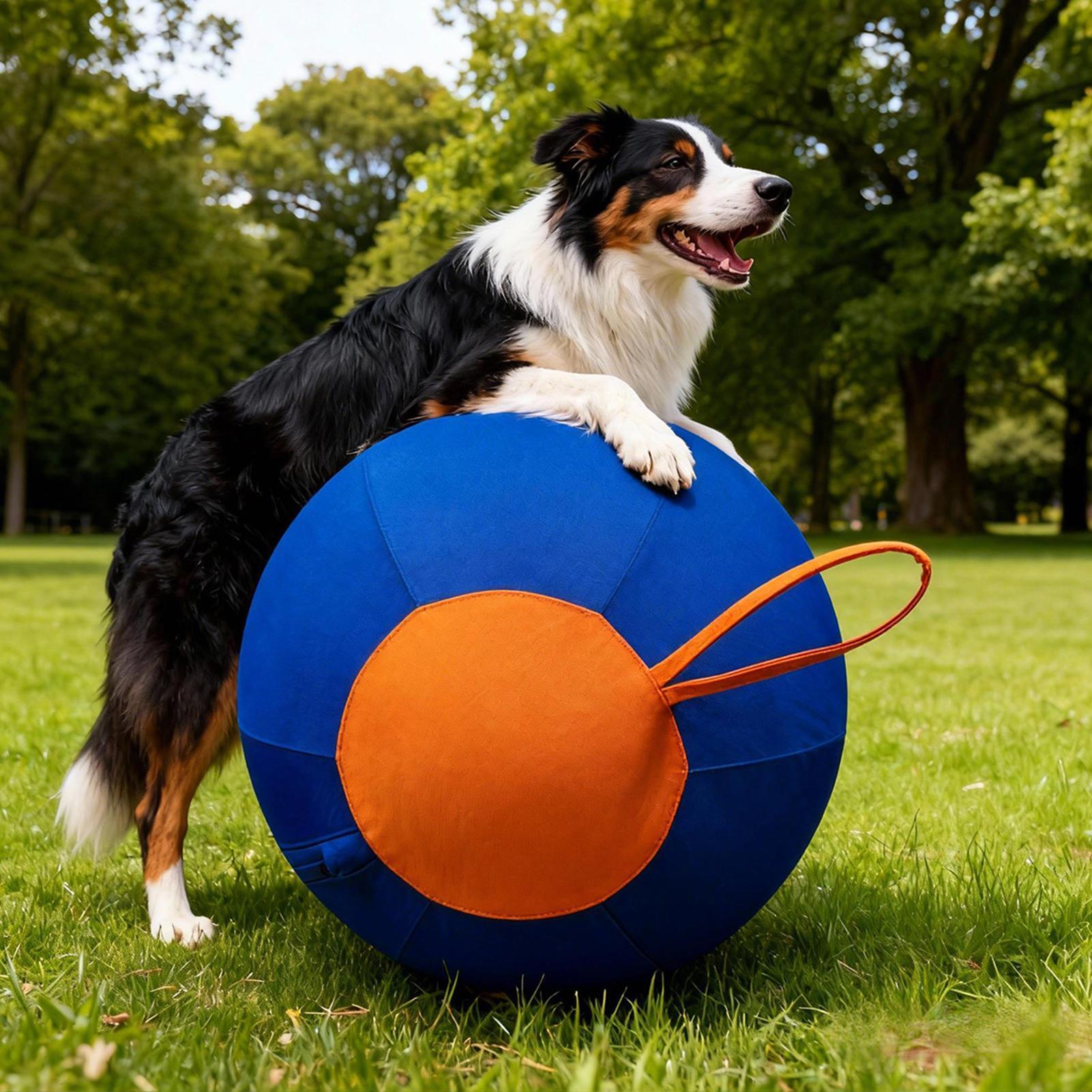 Pet Supplies Plus - Palla Interattiva Grande per Cani, Giocattolo