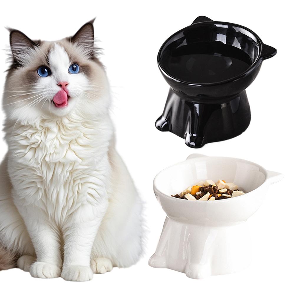 Pet Supplies In Amazon - Ciotola per gatti nera Amazon, ciotola