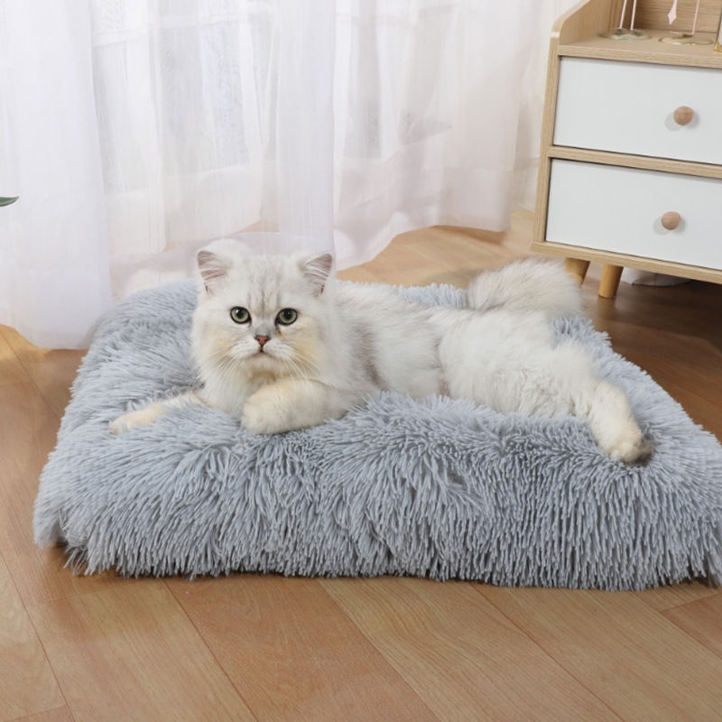 Pet Supplies In Amazon - Tappetino per Animali Domestici Amazon, Nuovo