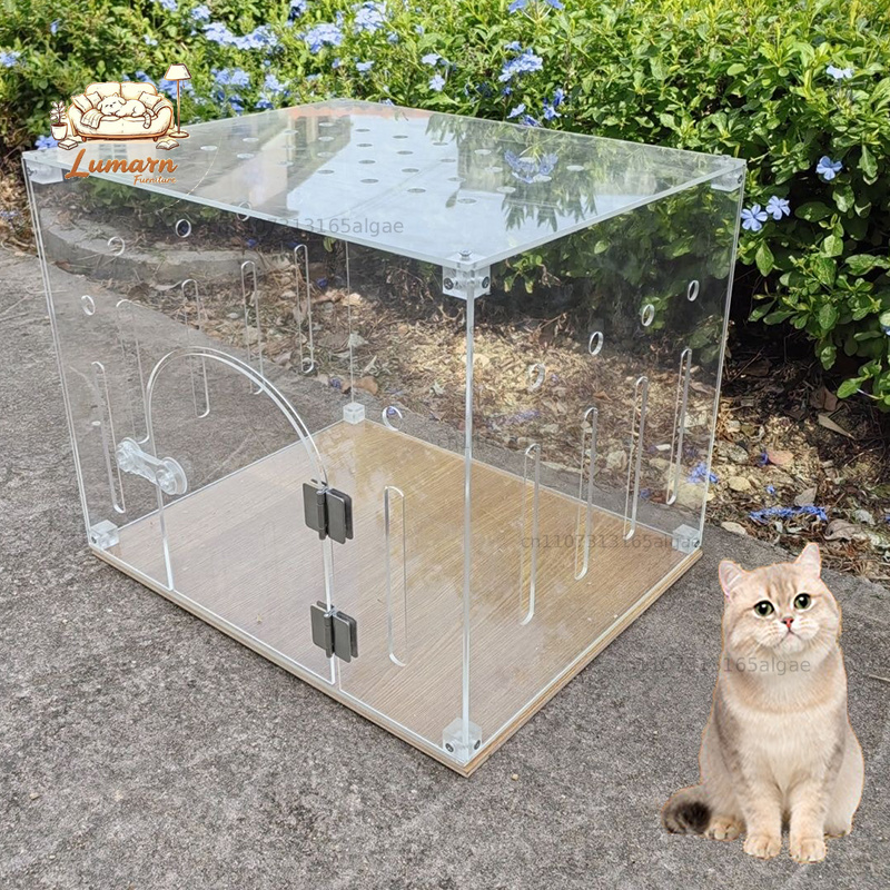Pet Supplies In Store - Gabbia per Gatti in Acrilico Trasparente,