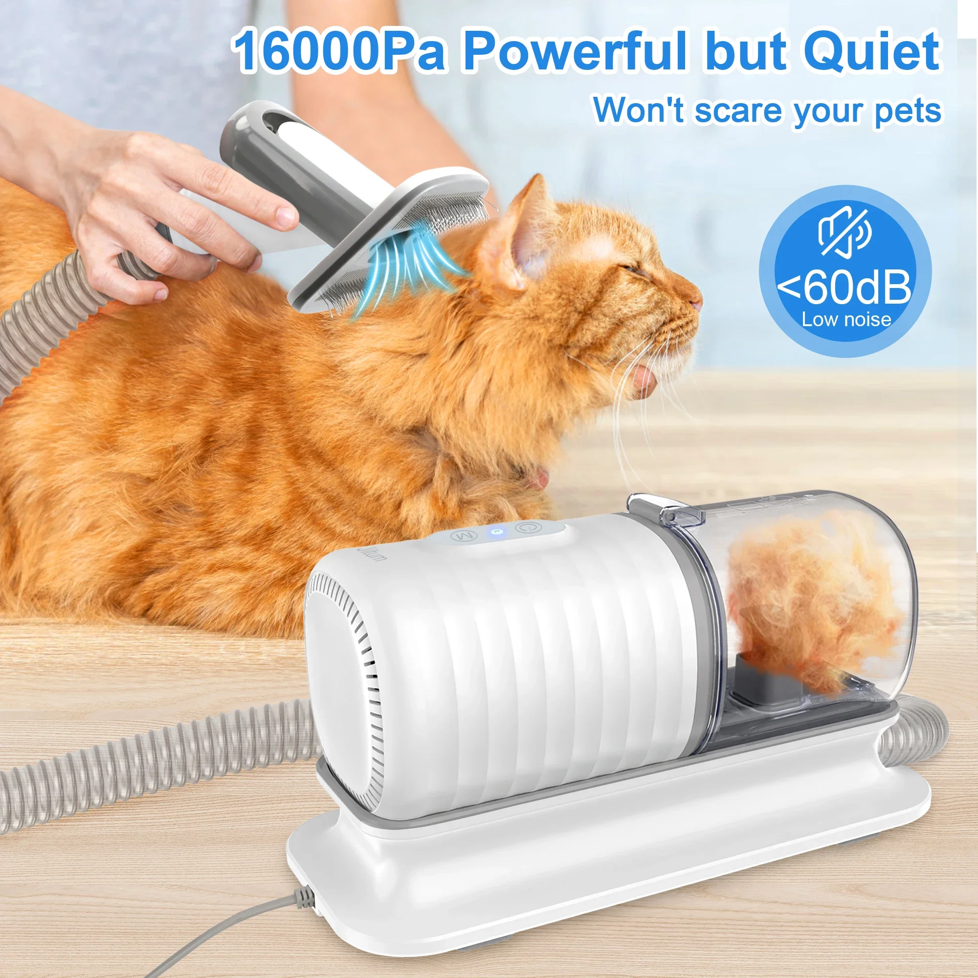 Set di spazzole per il bagno d - Pet Supplies In Store recensione e prezzo