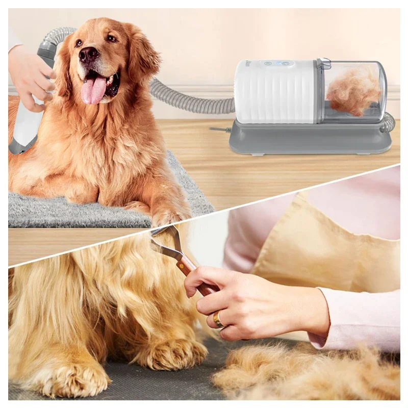 Set di spazzole per il bagno d - Pet Supplies In Store recensione e prezzo