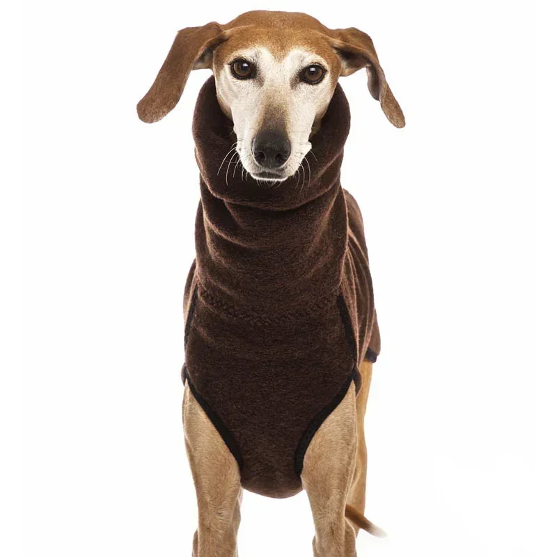 Pet inverno caldo collo alto m - Pet Supplies Plus recensione e prezzo
