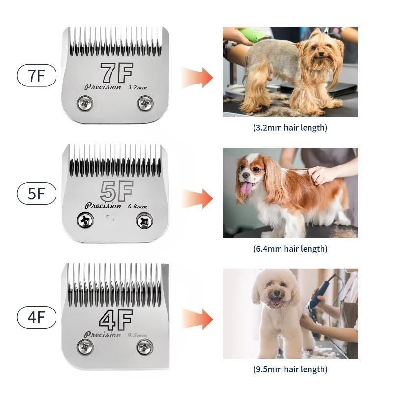 Lame per Tosatrice A5, Confezi - Dog Grooming Clippers recensione e prezzo