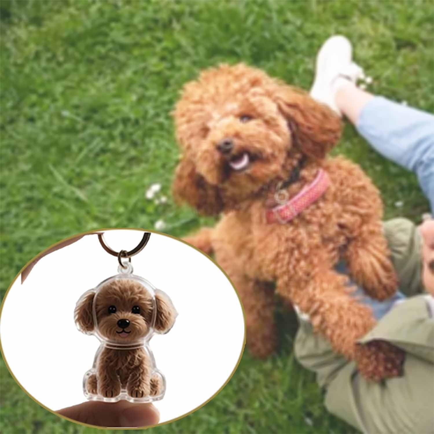 Ciondolo Trasparente per Comme - Pet Supplies Outlet recensione e prezzo