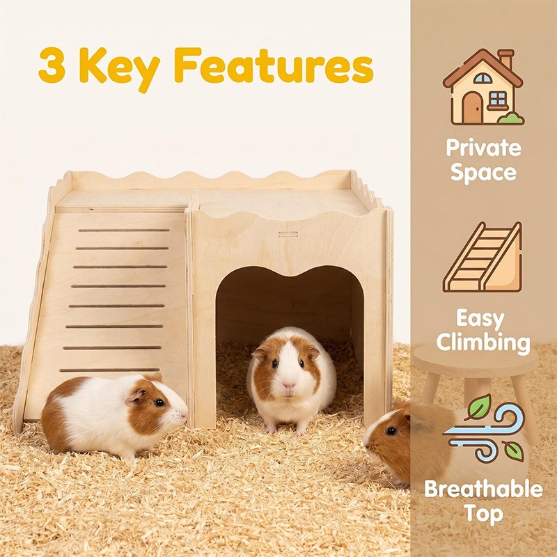 Giocattoli in Legno per Cricet - Pet Supplies In Amazon recensione e prezzo
