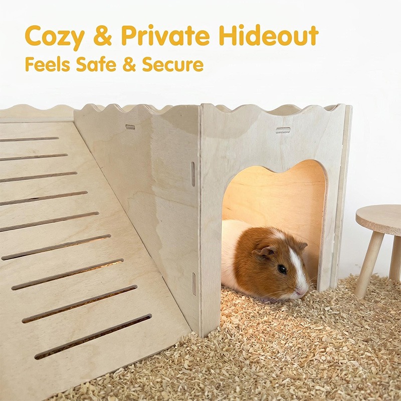 Giocattoli in Legno per Cricet - Pet Supplies In Amazon recensione e prezzo
