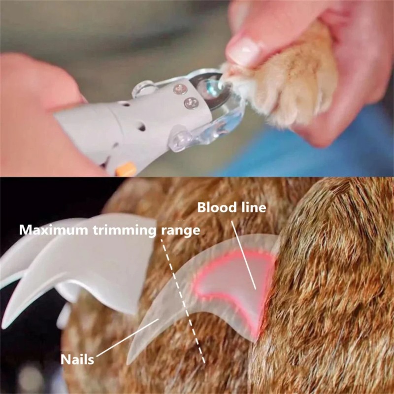 Tagliaunghie per Animali Domes - Dog Grooming Clippers recensione e prezzo