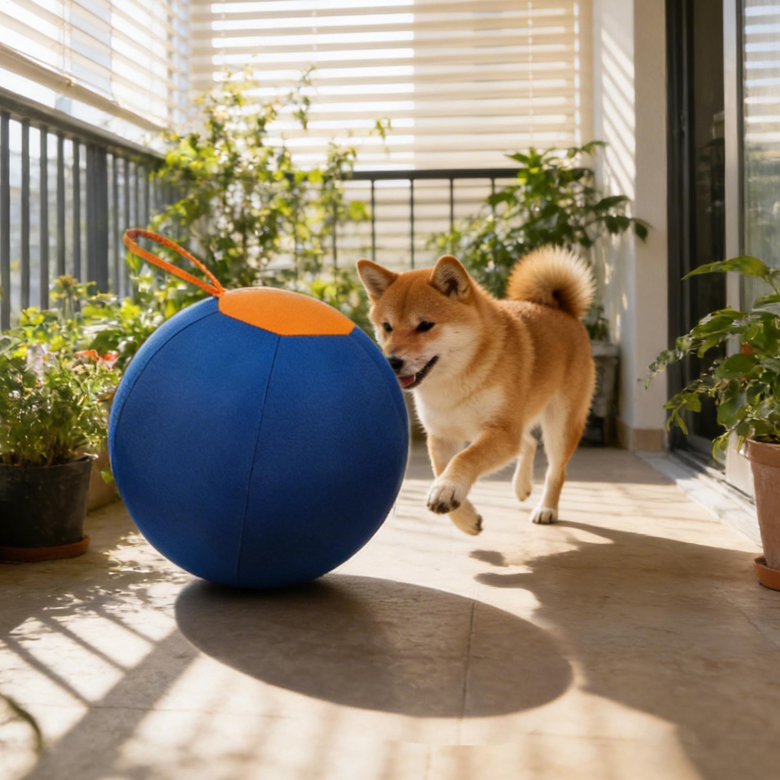 Palla Interattiva Grande per C - Pet Supplies Plus recensione e prezzo