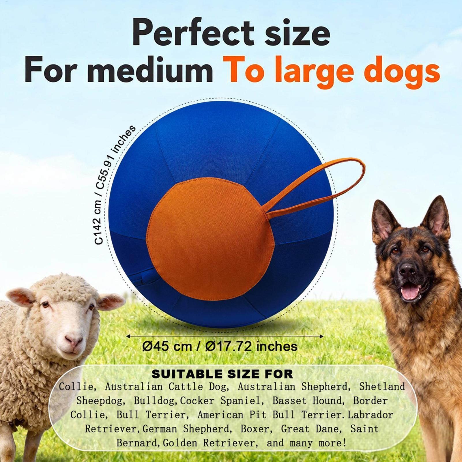 Palla Interattiva Grande per C - Pet Supplies Plus recensione e prezzo