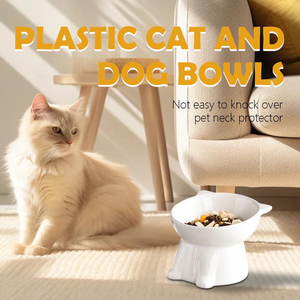 Ciotola per gatti nera Amazon, - Pet Supplies In Amazon recensione e prezzo