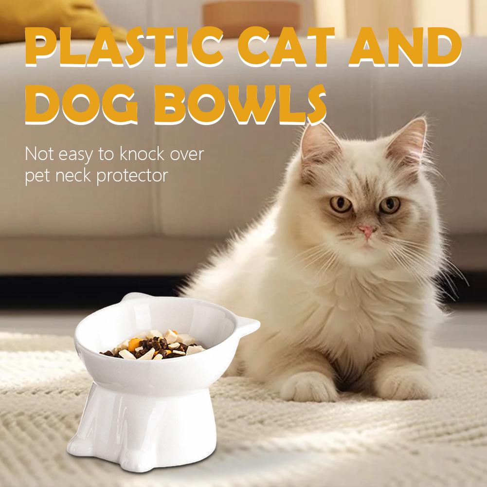 Ciotola per gatti nera Amazon, - Pet Supplies In Amazon recensione e prezzo