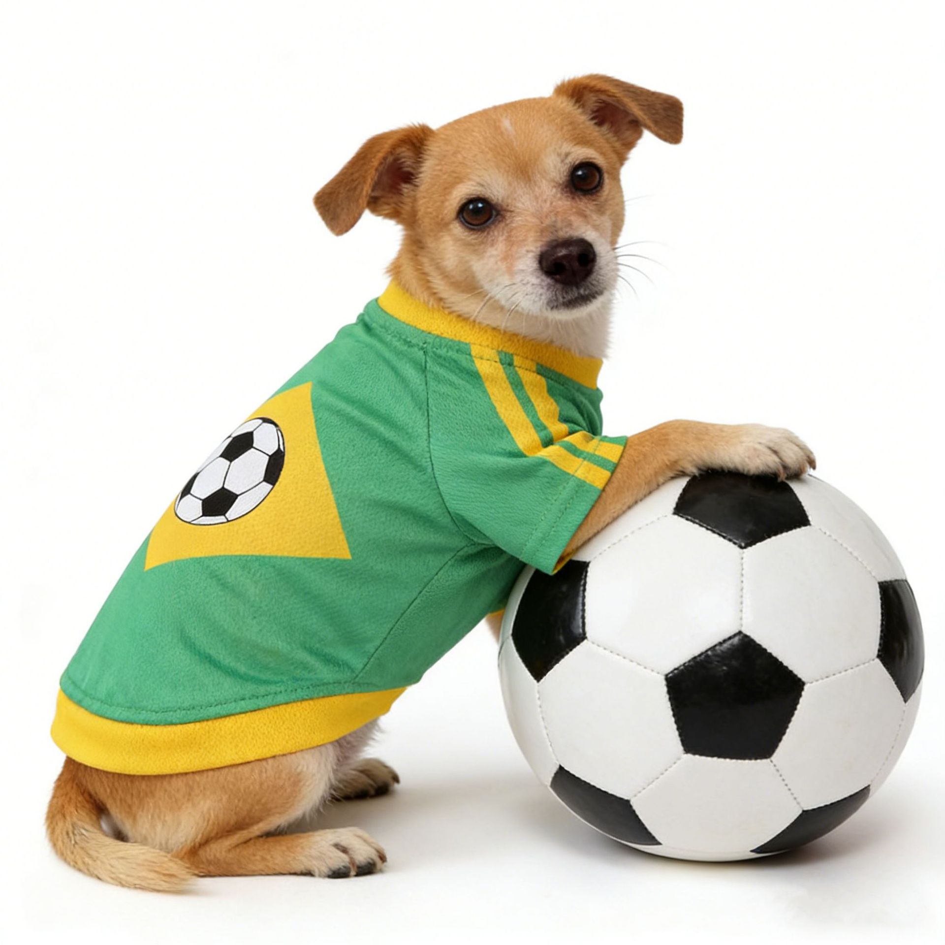 Abbigliamento per Cani con Mot - Pet Supplies Jersey recensione e prezzo