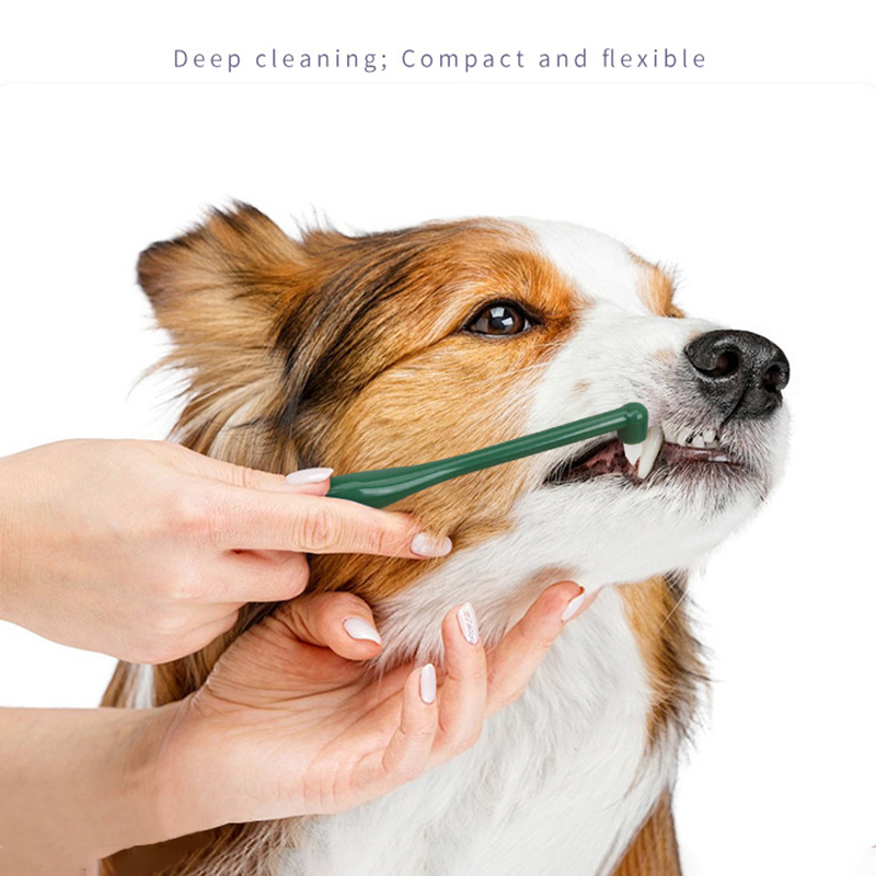 Spazzolino da denti per gatti  - Pet Supplies Plus recensione e prezzo