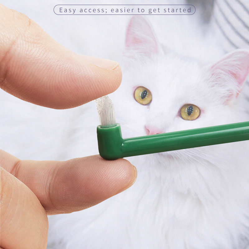 Spazzolino da denti per gatti  - Pet Supplies Plus recensione e prezzo