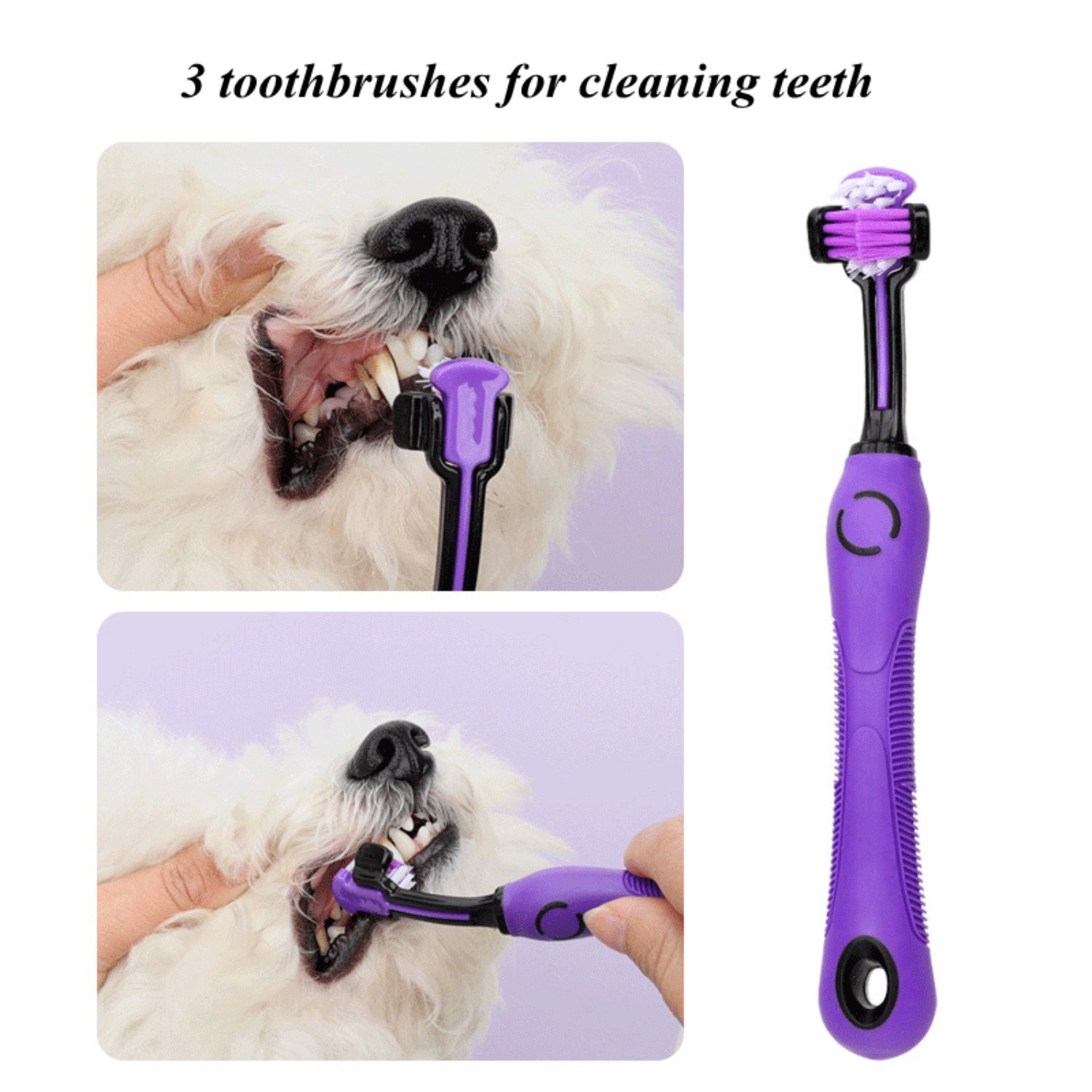 Set completo per la toelettatu - Dog Grooming Clippers recensione e prezzo