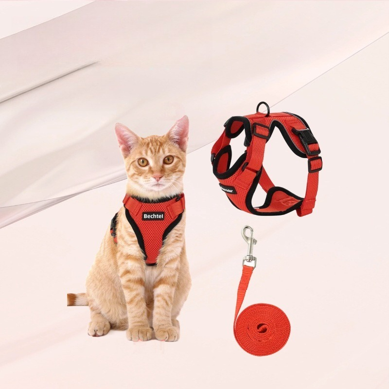Pettorina per gatti Amazon con - Pet Supplies In Amazon recensione e prezzo