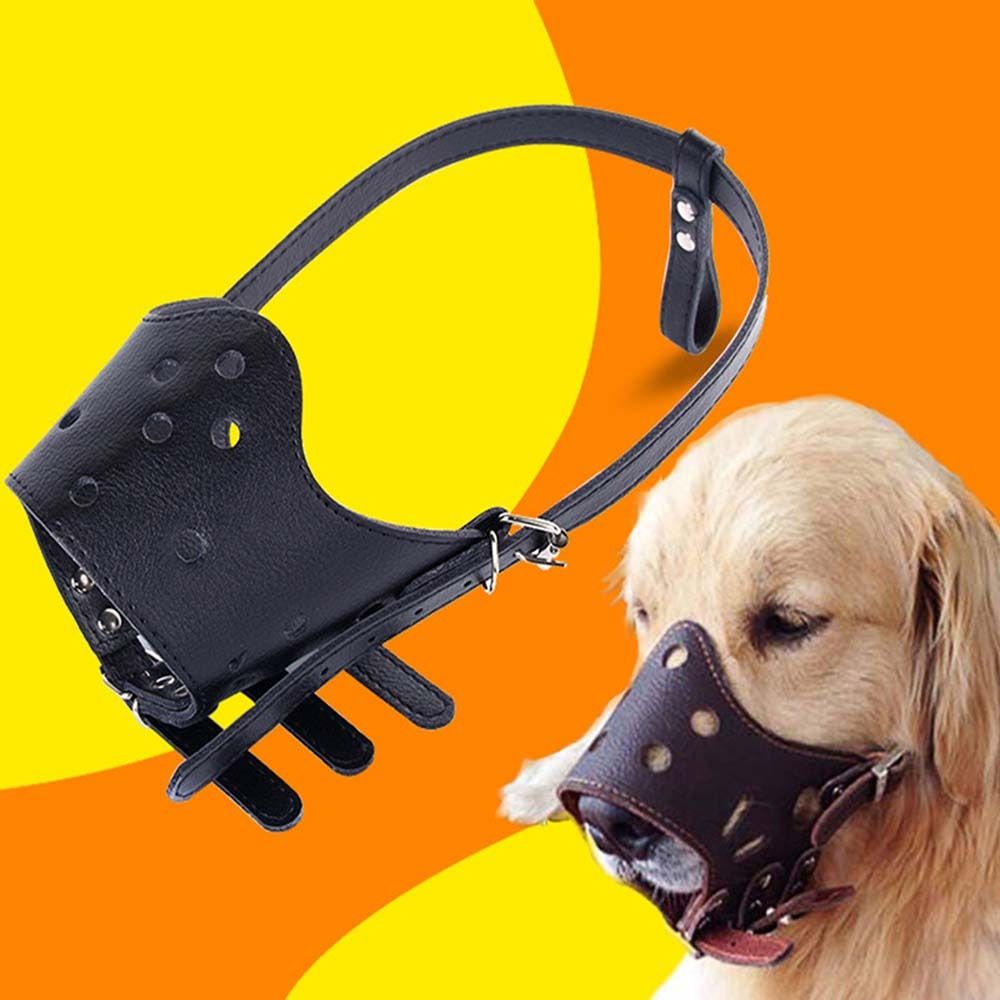 Museruola Anti-Morso Sicura An - Pet Supplies Plus recensione e prezzo