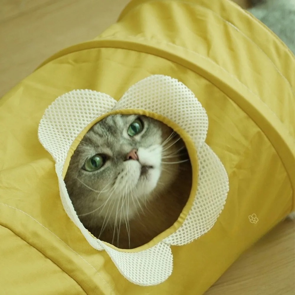 Tunnel a Spirale Pieghevole Po - Pet Supplies In Store recensione e prezzo