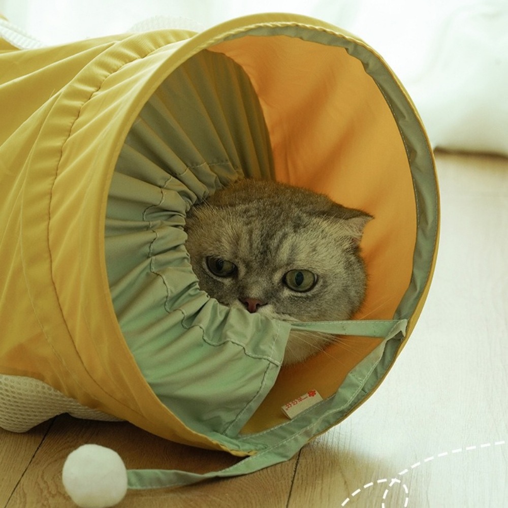 Tunnel a Spirale Pieghevole Po - Pet Supplies In Store recensione e prezzo