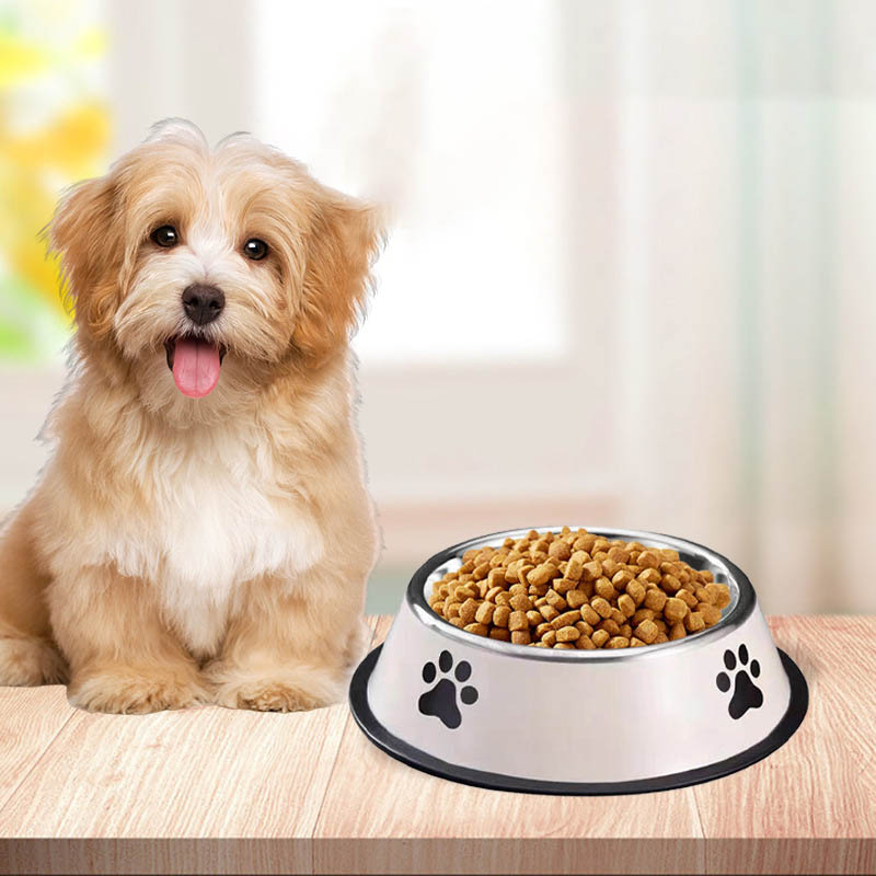 Ciotola per Animali Domestici  - Pet Supplies Plus recensione e prezzo