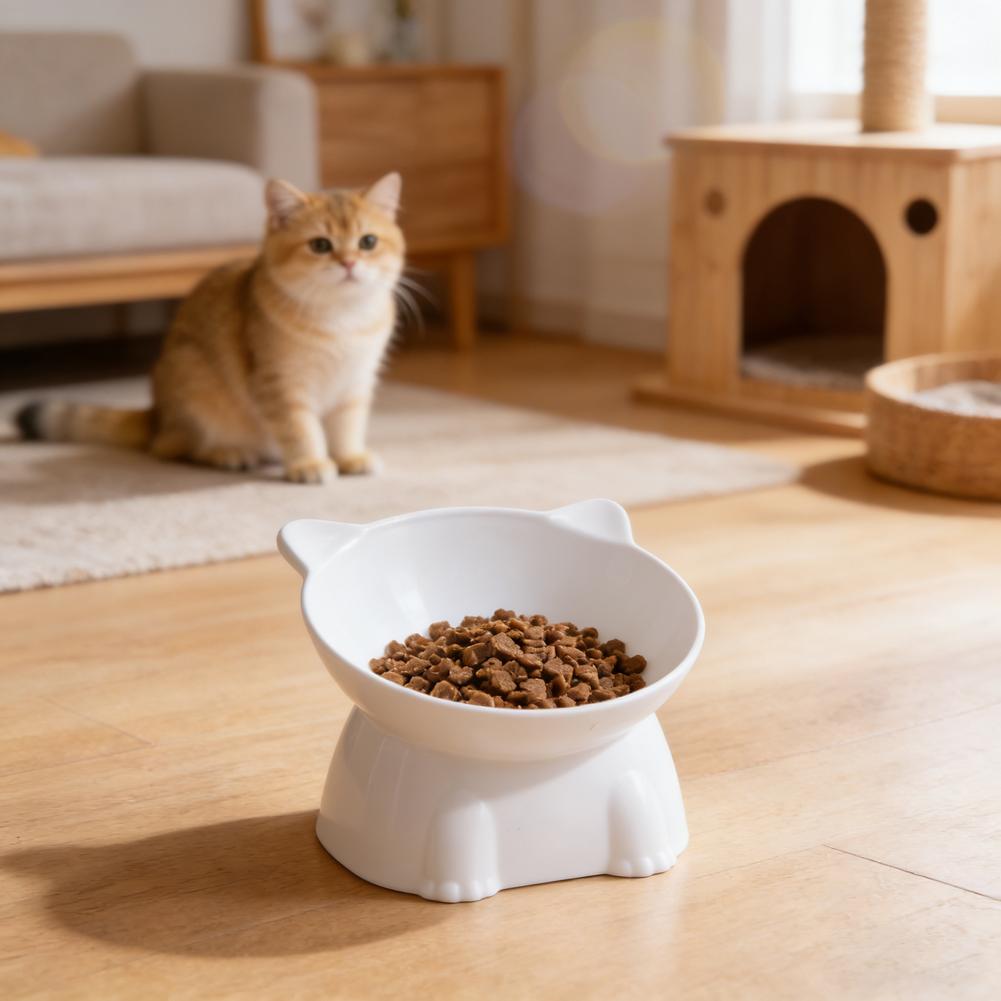 Ciotola per gatti nera Amazon, - Pet Supplies In Amazon recensione e prezzo