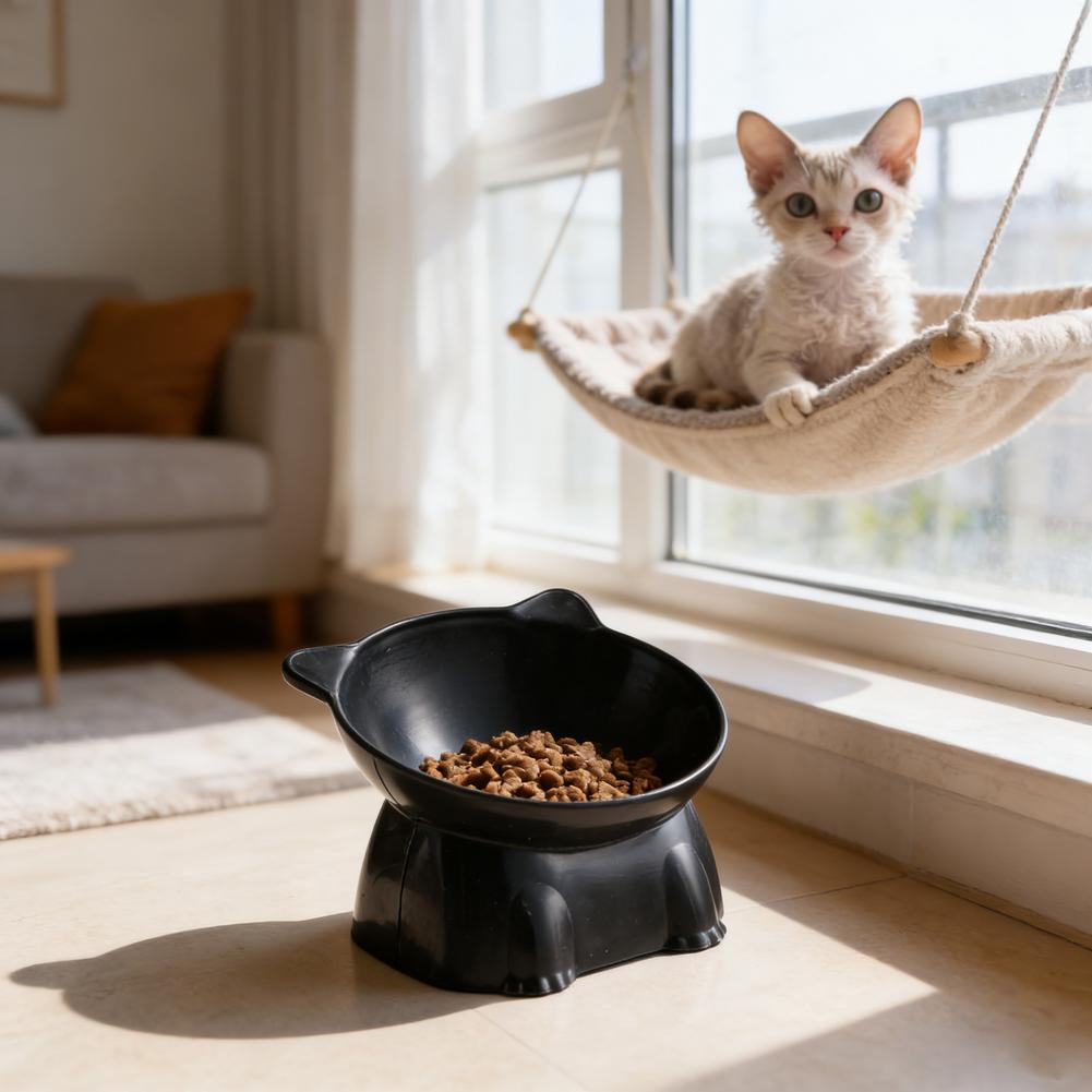 Ciotola per gatti nera Amazon, - Pet Supplies In Amazon recensione e prezzo