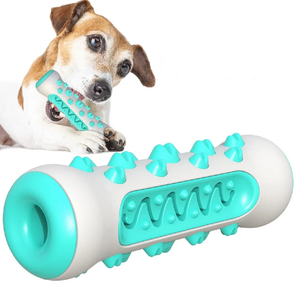 Articoli per animali domestici - Pet Supplies In Amazon recensione e prezzo
