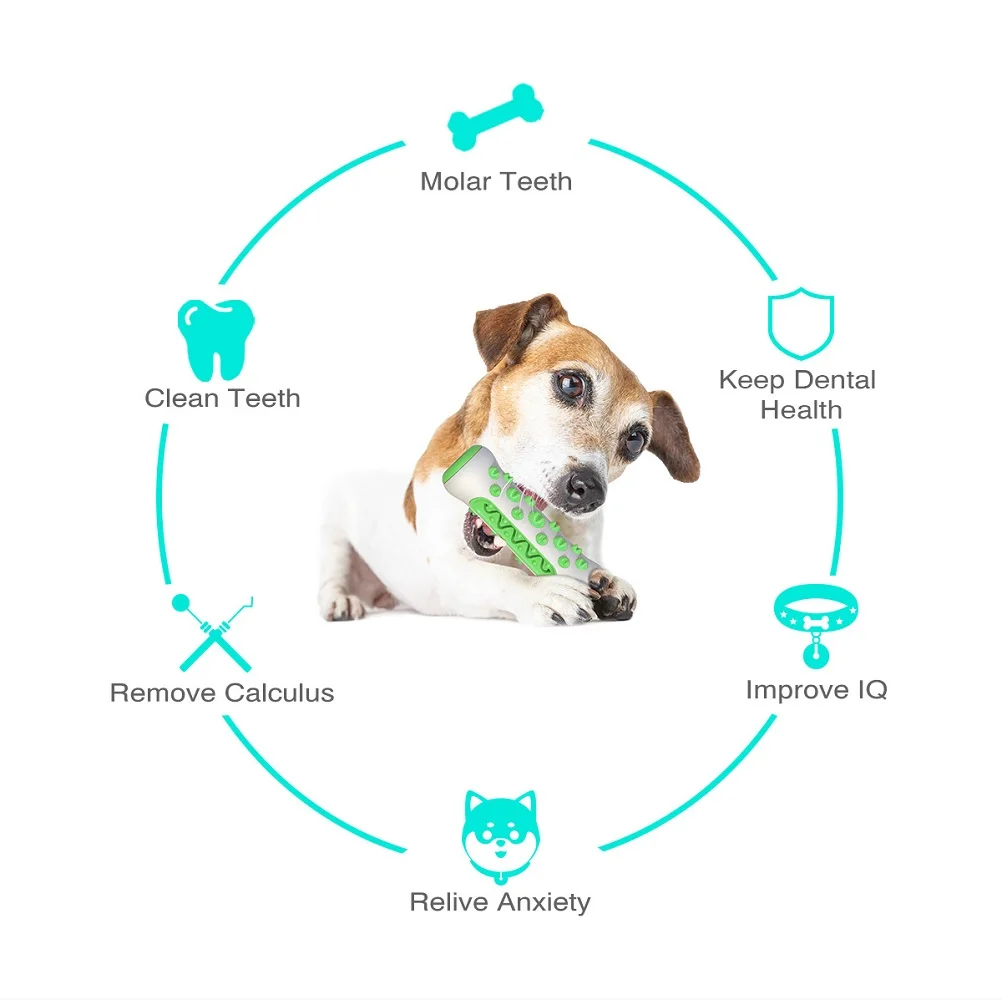 Articoli per animali domestici - Pet Supplies In Amazon recensione e prezzo