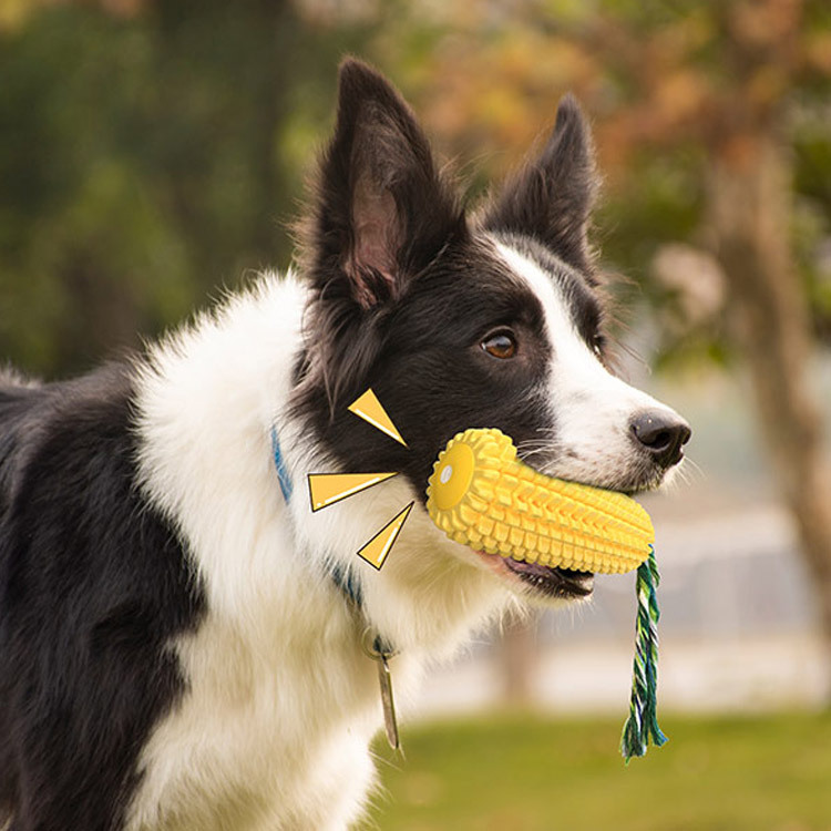 Giocattolo per cani a forma di - Pet Supplies In Amazon recensione e prezzo