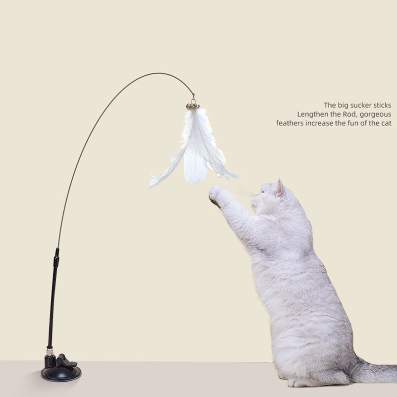 Nuovo potente bastoncino per s - Pet Supplies In Amazon recensione e prezzo