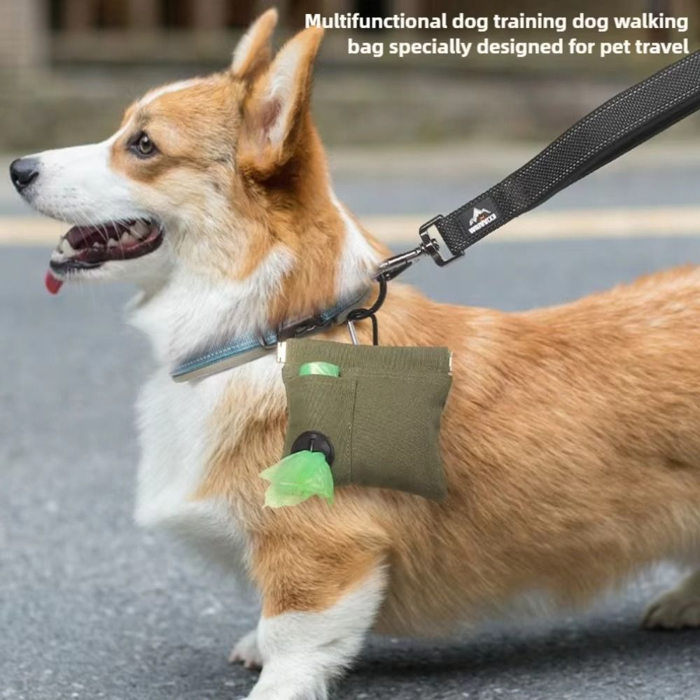 Borsa da Addestramento per Ani - Pet Supplies Plus recensione e prezzo