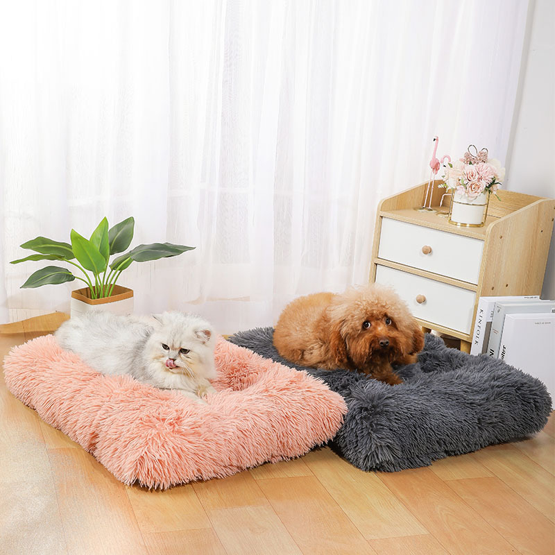 Cuccia per Animali Domestici A - Pet Supplies In Amazon recensione e prezzo