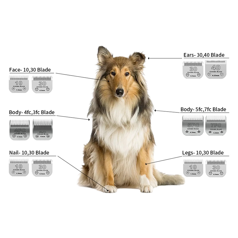 Lama in ceramica professionale - Dog Grooming Clippers recensione e prezzo