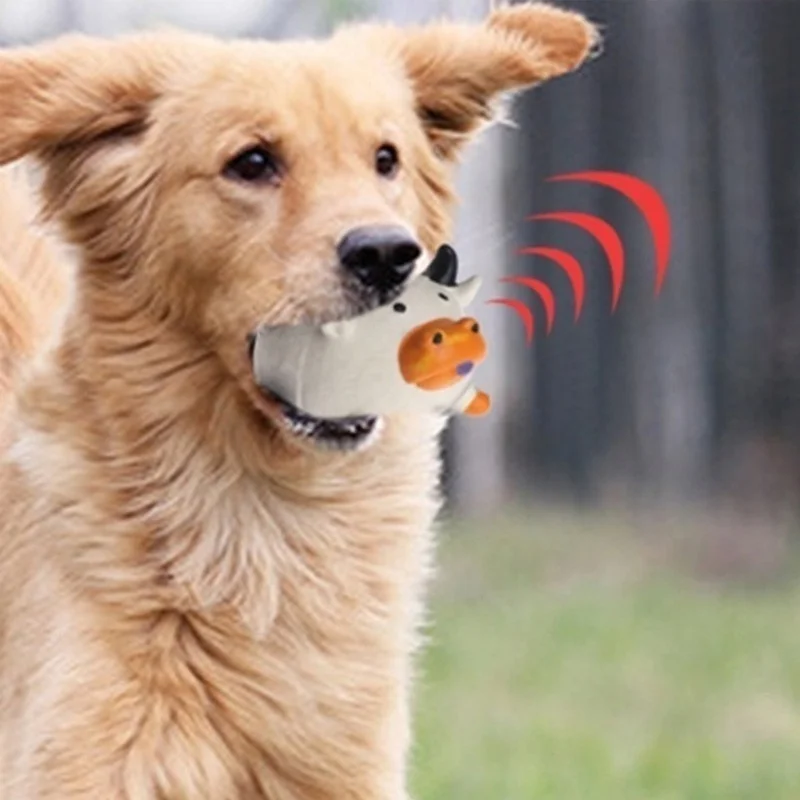 Giocattolo per Cani a Forma di - Pet Supplies In Amazon recensione e prezzo