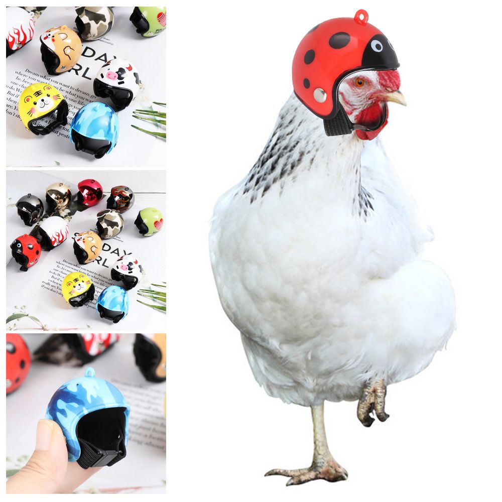 Cappello Protettivo Divertente - Pet X Supplies & Tack recensione e prezzo