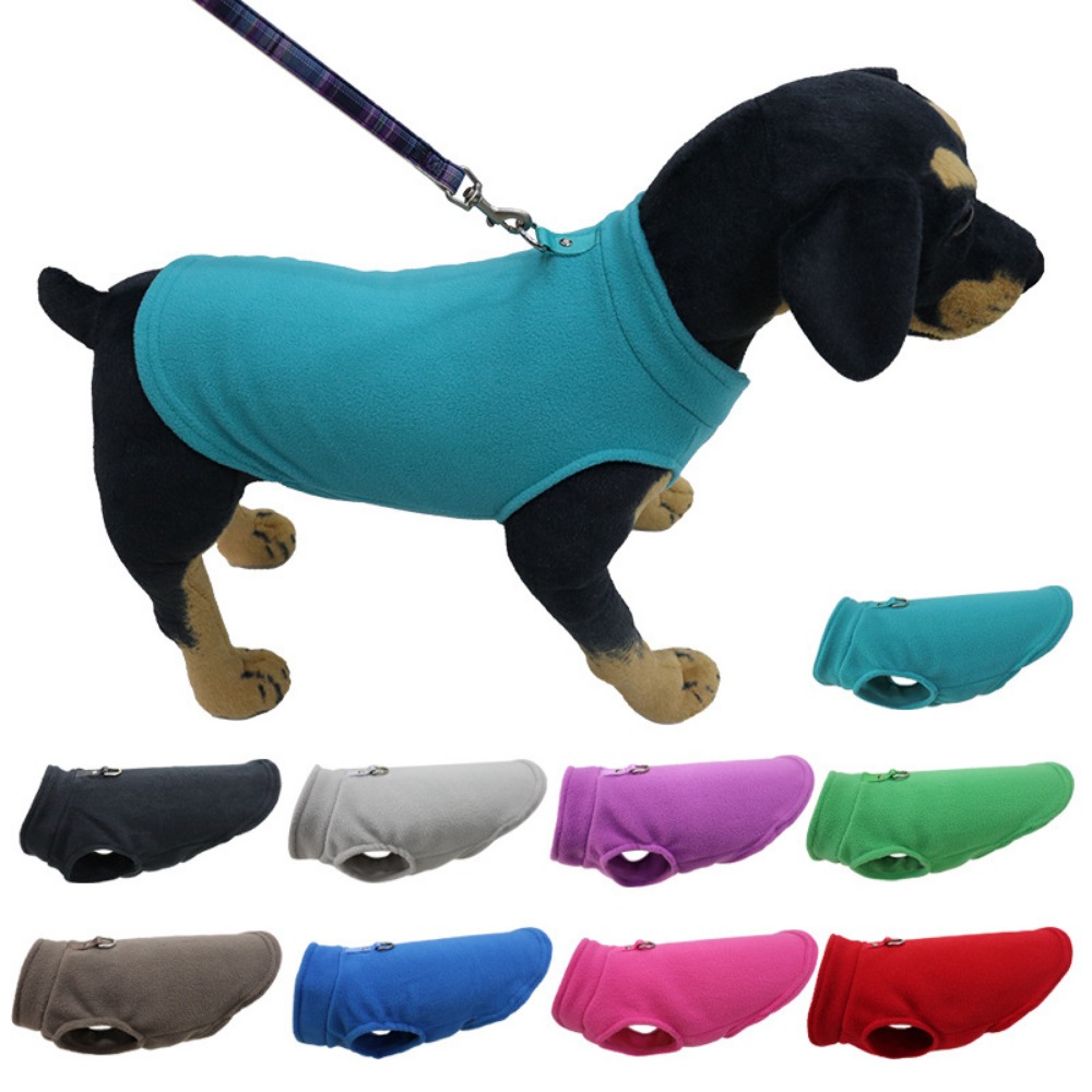 Europa, America, Amazon vestit - Pet Supplies In Amazon recensione e prezzo