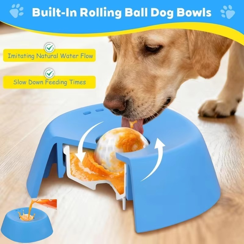 Ciotola per cani da 1 pezzo co - Pet Supplies Plus recensione e prezzo