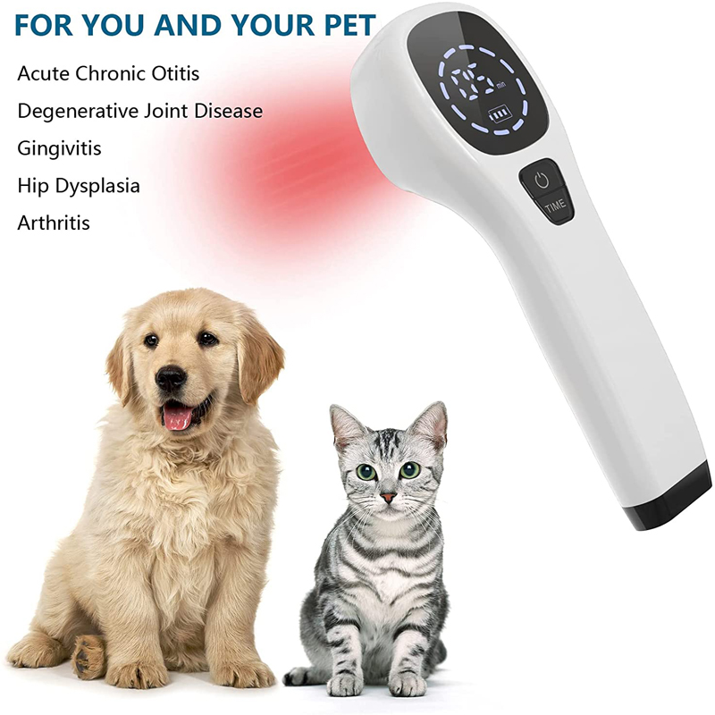 Dispositivo per terapia laser  - Pet Supplies Outlet recensione e prezzo