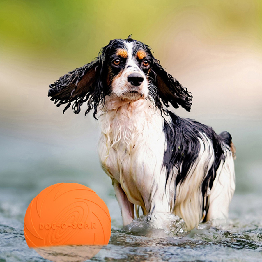 Disco Volante per Cani di Tagl - Pet Supplies Plus recensione e prezzo